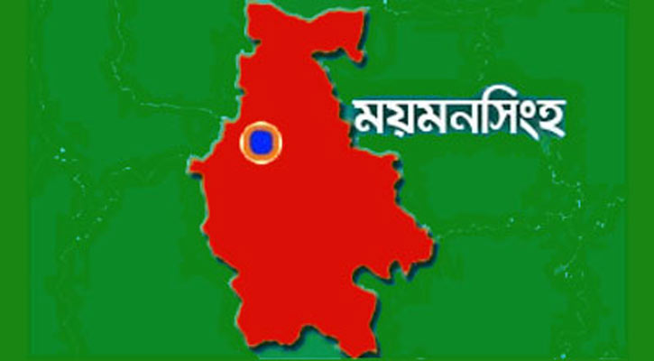 ময়মনসিংহে সড়ক দুর্ঘটনায় একই পরিবারের চারজন নিহত