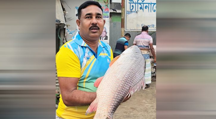 পদ্মার এক রুই বিক্রি হলো ৪৩ হাজার টাকায়