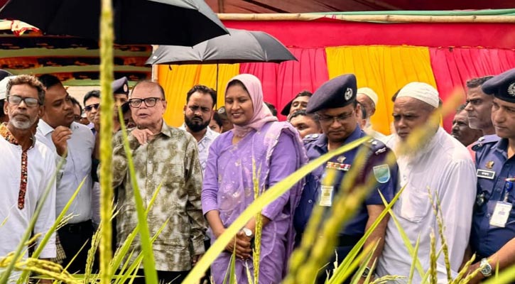হাওর বিপুল সম্ভাবনাময় এক জনপদ: খাদ্য উপদেষ্টা