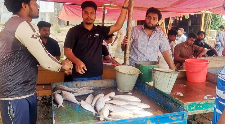চাঁদপুরে দেদারছে বিক্রি হচ্ছে জাটকা!