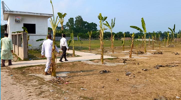 কালকিনিতে বিদ্যালয়ের মাঠে কলাগাছ রোপণ, থানায় অভিযোগ