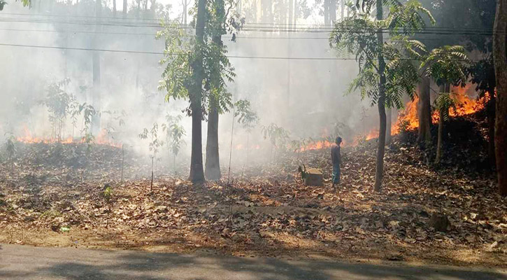 রাঙ্গুনিয়ায় আগুনে পুড়ল ৮ একর বন