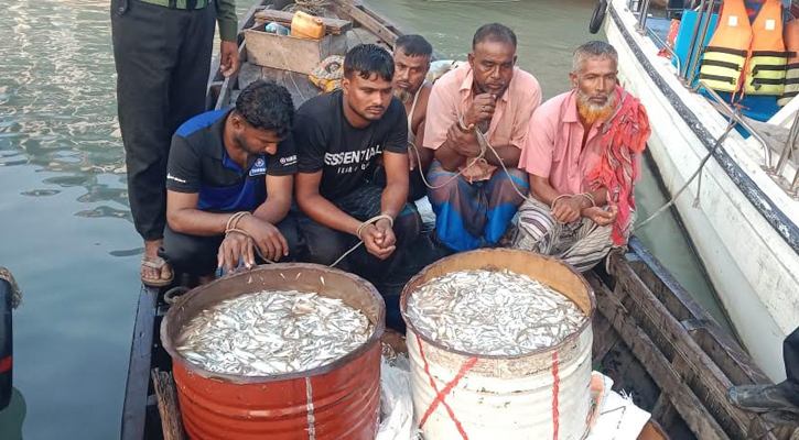 জাটকা রক্ষা অভিযানে হামলায় আনসার সদস্য আহত, আটক ৫