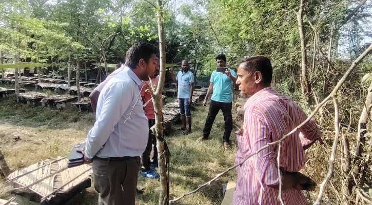 মৌমাছিকে চিনি খাইয়ে মধু তৈরি! 