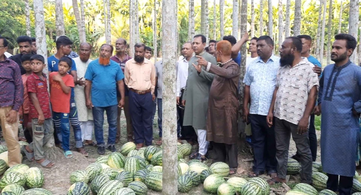 কেউ চাঁদা চাইলেই জানাতে বললেন বিএনপি নেতা