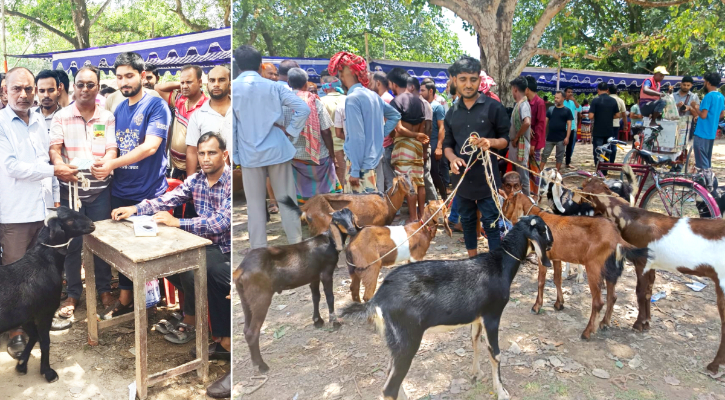 ১৬ বছর পর দামকুড়া পশুহাট চালু