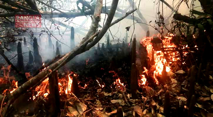 বিহঙ্গ দ্বীপে আগুনের তাণ্ডব, কারণ নিয়ে ‘রহস্য’