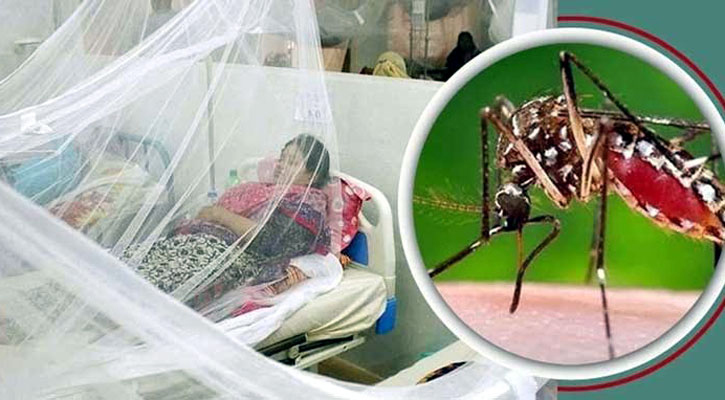 ডেঙ্গুতে মৃত্যু নেই, হাসপাতালে ভর্তি ৩৩