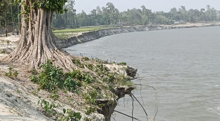 কুড়িগ্রামের ব্রহ্মপুত্রের ভাঙনে দিশেহারা মানুষ