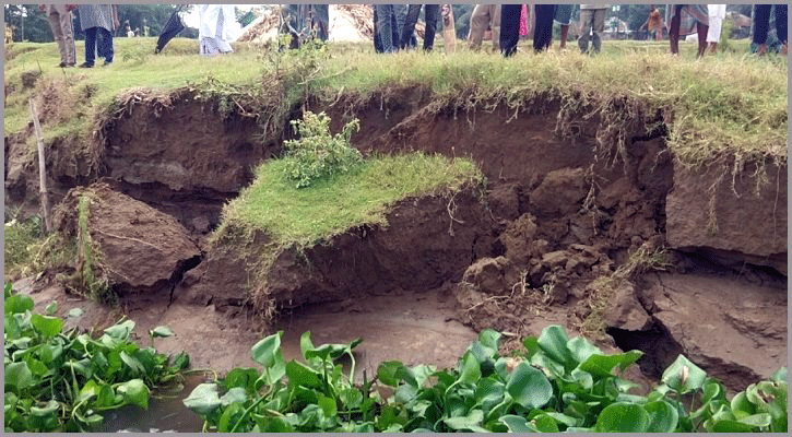 চাঁদপুরে ধনাগোদা নদীর ভাঙন, বিলীন হচ্ছে বসতবাড়িসহ স্থাপনা