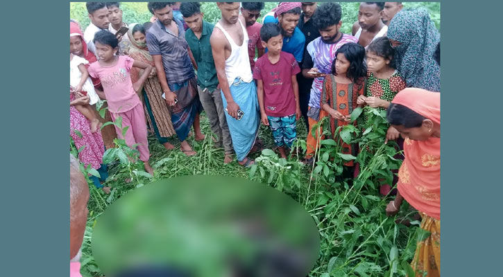 বকশীগঞ্জে পাটক্ষেতে মিলল নারীর পোড়া মরদেহ