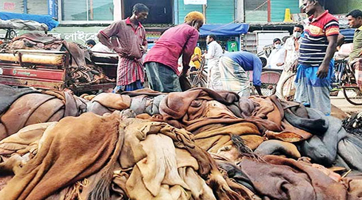 সিলেটে ৭০ হাজার গরুর চামড়া সংগ্রহের টার্গেট 