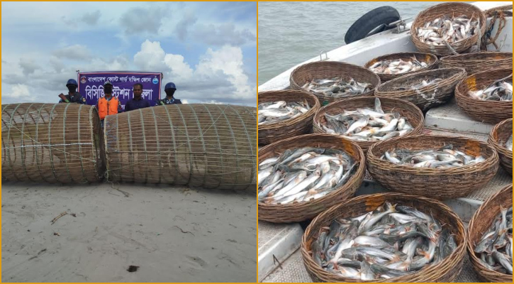 দৈত্যাকার চাঁইয়ে পাঙ্গাসের ভবিষ্যৎ শঙ্কা