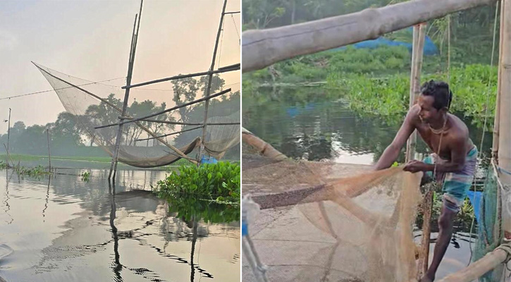 ভেসাল দিয়ে যেভাবে মাছ ধরেন কমল মাঝিরা