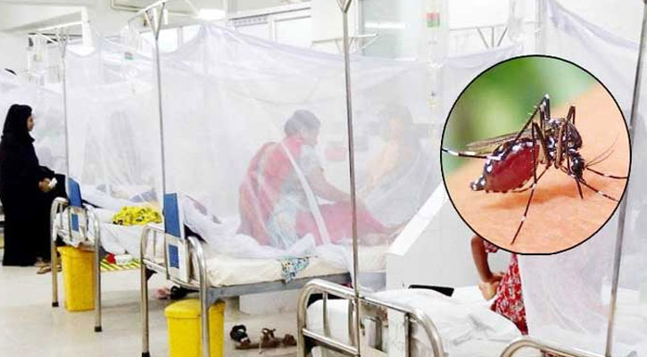 ডেঙ্গুতে আরও একজনের মৃত্যু, হাসপাতালে ২৪৯