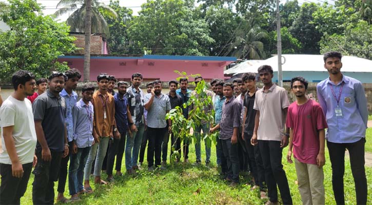 ঝিনাইদহে ছাত্রদলের বৃক্ষরোপণ