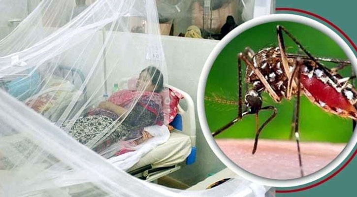 ডেঙ্গু আক্রান্ত হয়ে হাসপাতালে ভর্তি ৩৪৩