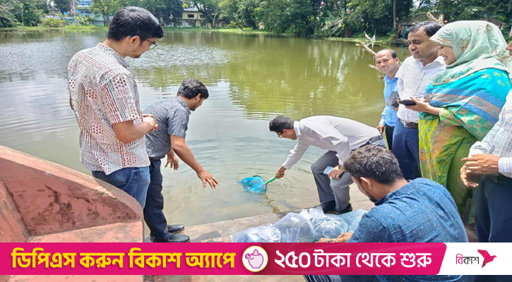 বোয়ালখালীতে ৩২ পুকুরে মাছের পোনা অবমুক্ত