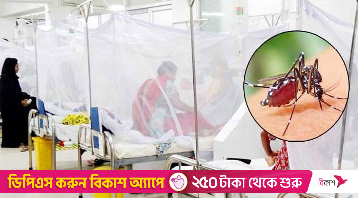 হাসপাতালে ভর্তি ডেঙ্গুরোগী ৩০ হাজার ছাড়ালো