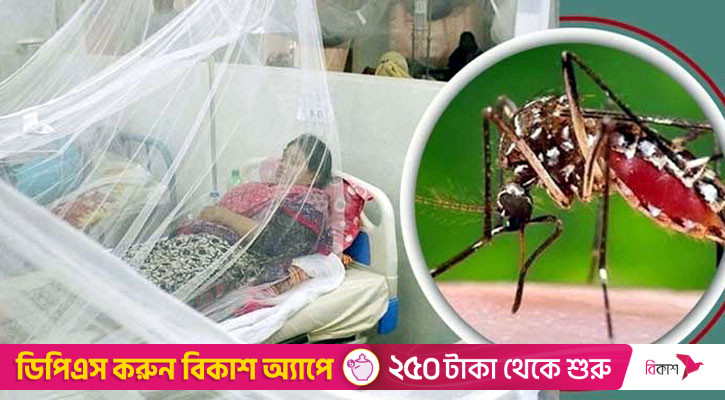 ডেঙ্গু আক্রান্ত হয়ে হাসপাতালে ভর্তি ১৬৫