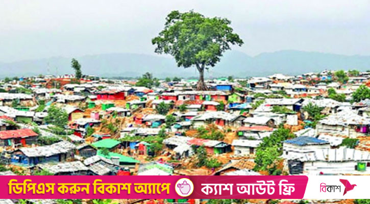 রোহিঙ্গা বাড়ছে ব্যাপকহারে
