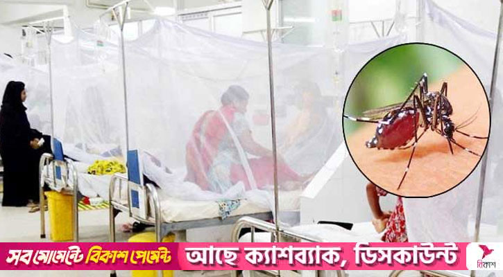 ডেঙ্গুতে ৬ জনের মৃত্যু, হাসপাতালে ভর্তি ৫৮৬