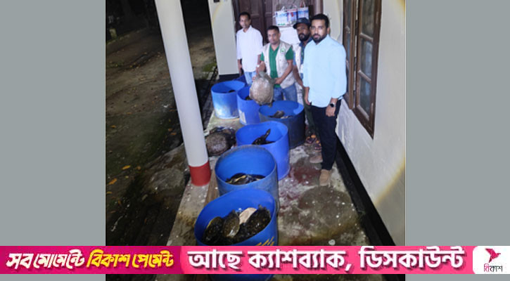 বেগমগঞ্জে ৪২৫ কচ্ছপ উদ্ধার