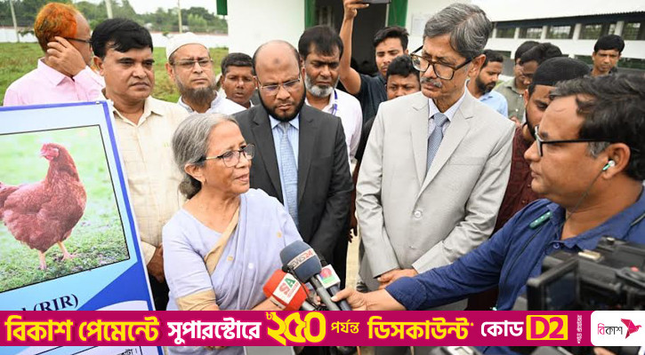 গবাদি প্রাণীতে অ্যান্টিবায়োটিকের ব্যবহার মানব স্বাস্থ্যের জন্য হুমকি: উপদেষ্টা
