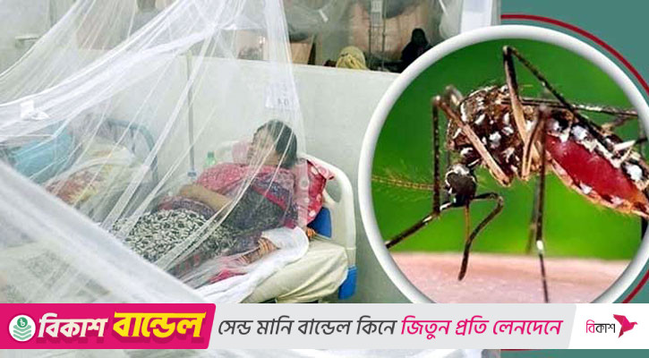 ডেঙ্গুতে ৫ জনের মৃত্যু, হাসপাতালে ভর্তি ৬৩৬