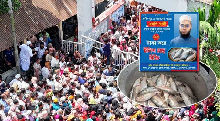 ১০ টাকা কেজি ইলিশ বিক্রির ঘোষণা, জনতার চাপে পালালেন এমপি প্রার্থী