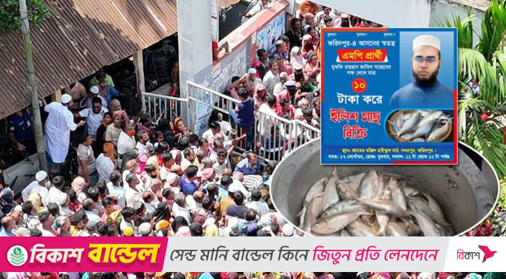 ১০ টাকা কেজি ইলিশ বিক্রির ঘোষণা, জনতার চাপে পালালেন এমপি প্রার্থী