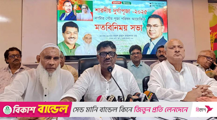 দুর্গাপূজা ঘিরে ষড়যন্ত্র হলে বিএনপি রুখে দেবে: দুলু