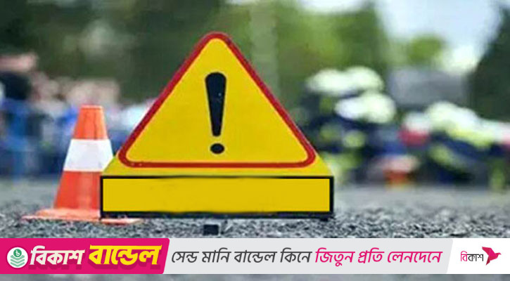 বাবার সঙ্গে এলো বিয়ের অনুষ্ঠানে, বাড়ি ফিরল নিথর দেহে