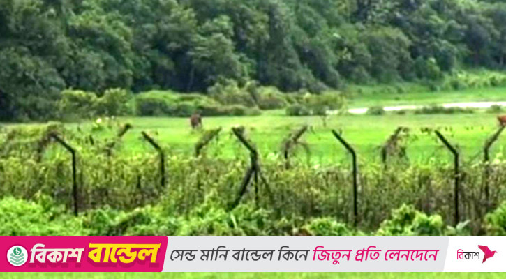 মৌলভীবাজার সীমান্ত দিয়ে ১২ রোহিঙ্গাকে পুশ-ইন