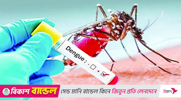 ডেঙ্গুতে আক্রান্ত হয়ে হাসপাতালে ভর্তি ৫১৪