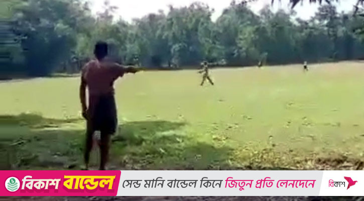 পাটগ্রাম সীমান্তে ২ বাংলাদেশিকে পিটিয়ে গরু নিয়ে গেছে বিএসএফ