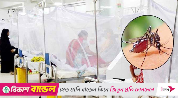 ডেঙ্গুতে ৩ জনের মৃত্যু, হাসপাতালে ভর্তি ৫৫৬