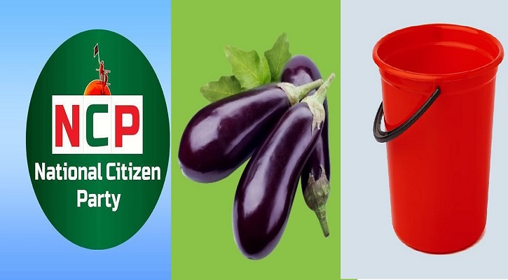 এনসিপিকে বেগুন-বালতিসহ ৫০ প্রতীকের অপশন