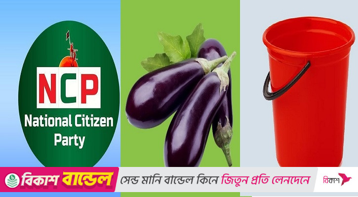 এনসিপিকে বেগুন-বালতিসহ ৫০ প্রতীকের অপশন