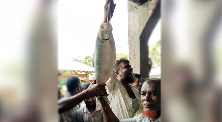 লক্ষ্মীপুরে এক ইলিশ বিক্রি হলো ১০ হাজার টাকায়