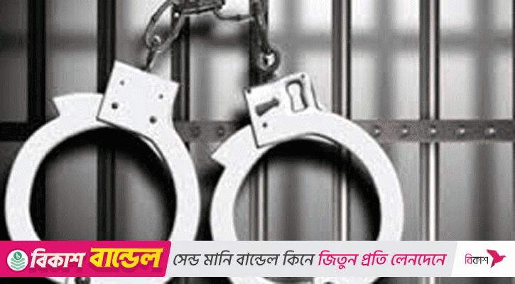 মোহাম্মদপুরে বিভিন্ন অপরাধে গ্রেপ্তার ১৪