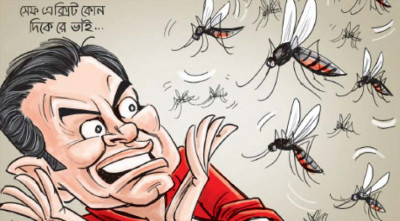 1759891055.Mosquito.jpg