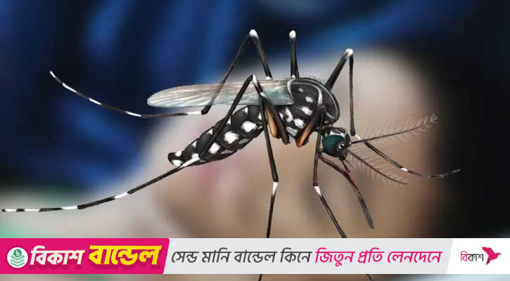 ডেঙ্গু আক্রান্ত হয়ে হাসপাতালে ভর্তি ৪১৩