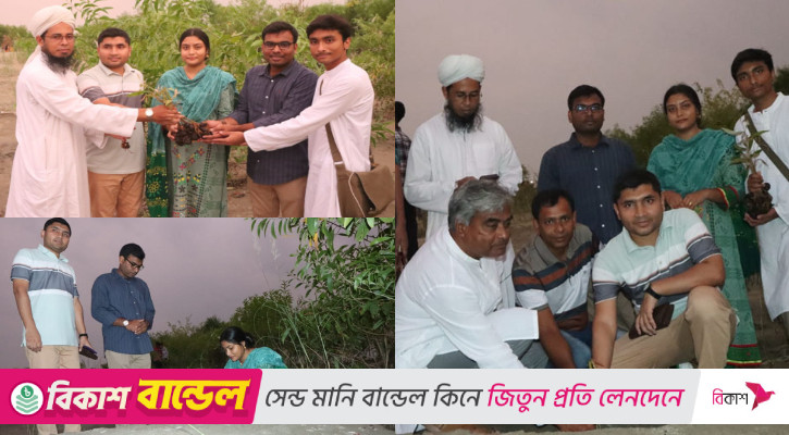 বিয়ের উপহার গাছের চারা!
