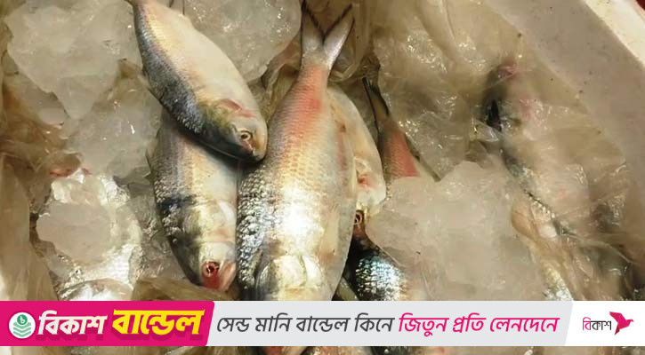বাংলাদেশি ইলিশ কম আসায় ভারতীয় ব্যবসায়ীদের ‘আফসোস’