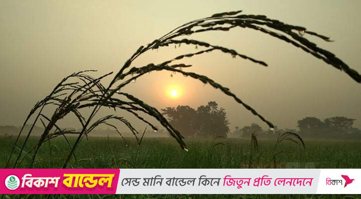 আসছে হিমেল হাওয়া, বিদায় নিচ্ছে বর্ষা
