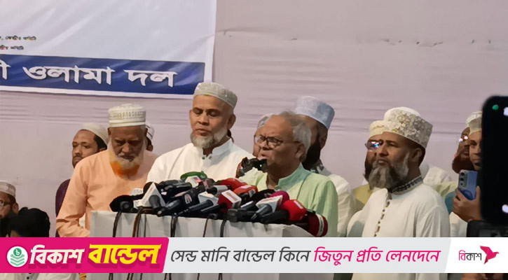 যারা নভেম্বরে গণভোটের কথা বলছেন, তাদের মাস্টারপ্ল্যান আছে: রিজভী